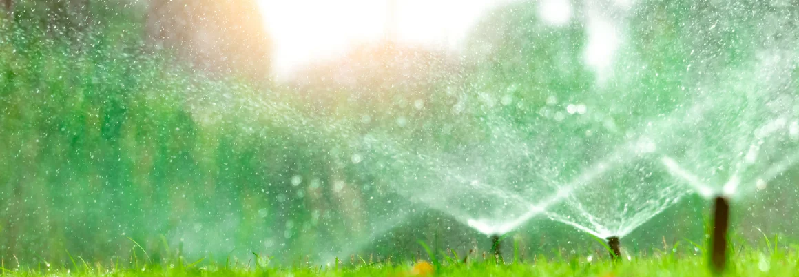 Rasensprenger bewässern grünen Rasen